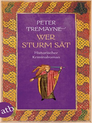 cover image of Wer Sturm sät